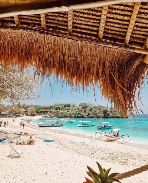 📍Mushroom Bay Beach, Nusa Lembongan⁠ ⁠ If you're planning a trip to Nusa Lembongan you'll more than likely arrive by ferry onto Mushroom Bay Beach. ⁠ ⁠ The boats pull up onto the shore, throw suitcases and bags onto the soft powder sand and passengers wade ashore. ⁠ ⁠ One of the best things to do is sit on the beach, relax and watch the entertaining spectacle throughout the morning and afternoon.⁠ ⁠ .⁠ .⁠ .⁠ ⁠ #nusalembongan #nusalembonganbeaches #nusaislands #baliferry #travelideas #travelde... Nusa Lembongan Bali, Nusa Lembongan, Beach Relax, February 9, Planning A Trip, Suitcases, Pull Ups, Content Creator, The Morning