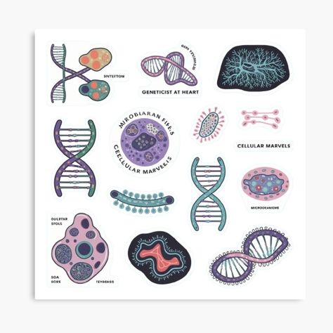 Get my art printed on awesome products. Support me at Redbubble #RBandME: https://www.redbubble.com/i/canvas-print/Biology-Stickers-DNA-Cells-and-Nature-s-Wonders-by-XquisiteFashion/164648209.5Y5V7?asc=u Biological Organization, Biology Stickers, Background Sticker, Biology Art, Cell Biology, Biology, Awesome Products, Canvas Print, Canvas Prints