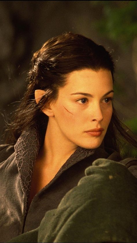 Arwen Lotr, Arwen Undomiel, Lotr Elves, Tauriel, Fellowship Of The Ring, Liv Tyler, Jrr Tolkien, Fantasy Aesthetic, Middle Earth