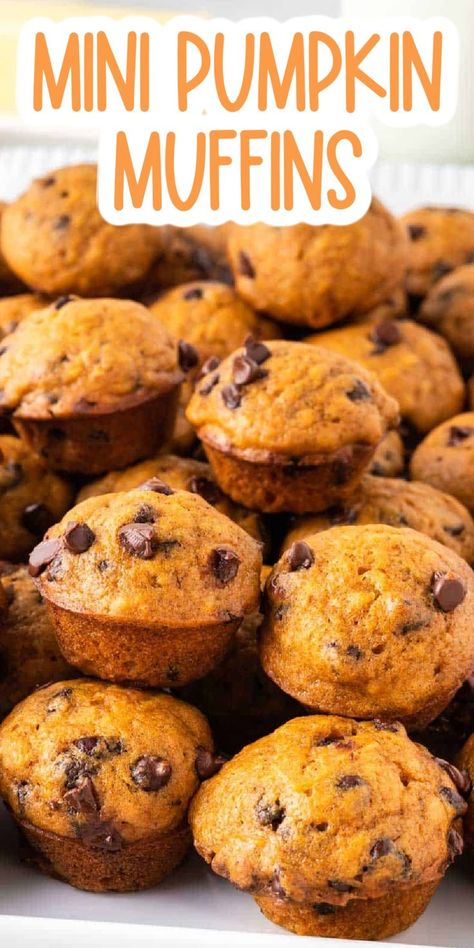 Skinnytaste Mini Pumpkin Chocolate Chip Muffins, Pumpkin Bread Mini Muffins, Pumpkin Oat Mini Muffins, Pumpkin Chip Muffins, How To Make Pumpkin Muffins, Banana Pumpkin Mini Muffins, Mini Muffins Breakfast, Pumpkin Mini Muffins Easy, Pumpkin Muffins Mini