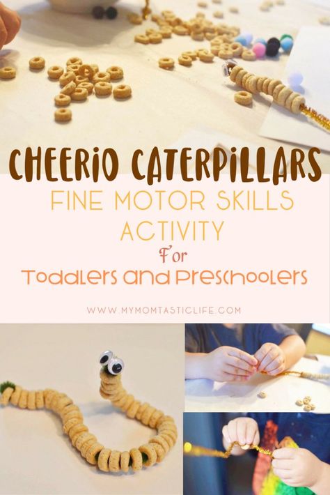 Cheerio Caterpillars - Fine Motor Skills Activity for Preschoolers Cheerio Caterpillars, Bug Theme Preschool, Preschool Bug Theme, Preschoolers Activities, Fine Motor Skills Activity, Motor Skills Activity, Toddlers Activities, Bug Activities, Insects Preschool