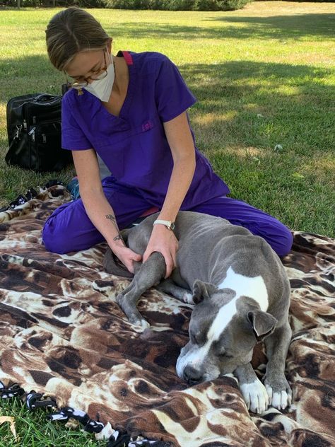 All About Dog Massage – Dogster Dog Massage, Irritable Bowel Disease, Emotional Support Dog, Pet Blog, Getting A Massage, Hiking Dogs, Therapeutic Massage, Dog Health Care, All About Dogs