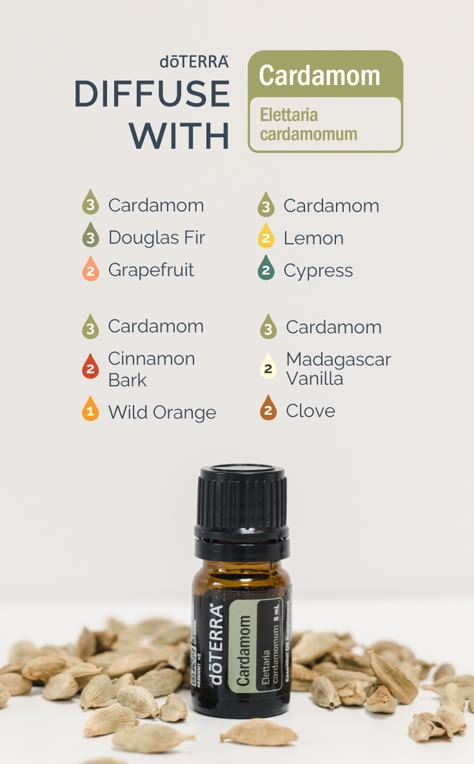 Cardamom Essential Oil Diffuser Blends, Cardamom Essential Oil Blends, Cardamom Essential Oil, Doterra Diffuser, Holistic Recipes, Doterra Diffuser Blends, Essential Oil Combinations, Doterra Essential Oils Recipes, Essential Oil Diffuser Blends Recipes