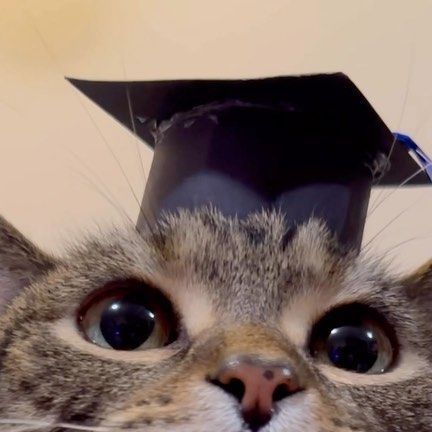 Lab Graduation Pictures, Graduated Aesthetic, Semester Vision Board, Cat Graduation, Uni Graduation, Cocktails Drawing, Puppy And Cat, Graduation Aesthetic, Graduation Things