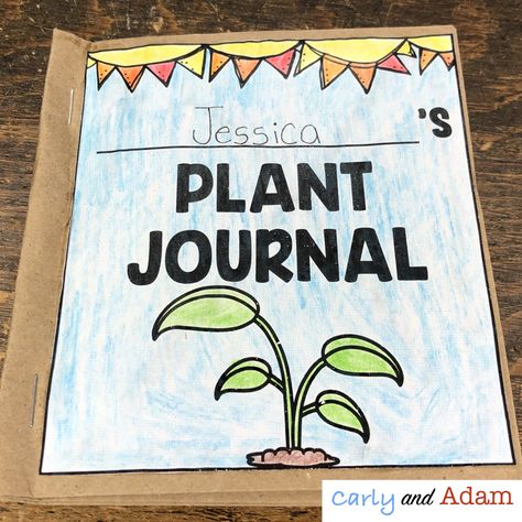 Growing Plants in the Classroom Needs Of Plants, Plant Classroom, Teaching Plants, Plants Kindergarten, Spring Lesson Plans, Plants Classroom, Plant Lessons, Spring Lessons, Preschool Garden