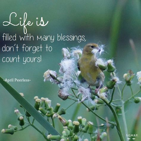 April Blessings, Blessings Quotes, Bird Quotes, Good Morning God Quotes, Cute Inspirational Quotes, Today Quotes, Blessed Quotes, Simple Reminders, Morning Blessings