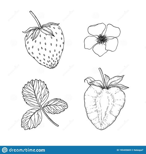 Unforgettable Tattoo, Snow Tattoo, Strawberry Drawing, Abstract Tattoo Ideas, Strawberry Tattoo, Fruit Tattoo, Beginner Tattoos, Flower And Leaves, Sun Tattoos