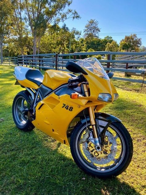 Ducati Bike, Ducati 748, Ducati 916, Ducati Cafe Racer, Ducati Sport Classic, Ducati Motorcycles, Retro Motorcycle, Italian Beauty, Moto Bike