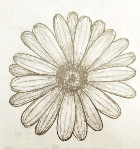 Daisy draft Simple Daisy Drawing, Daisy Drawing, Sketching Ideas, Flower Sketches, Pallet Ideas, Tattoo Idea, Daisy Flower, Flower Drawing, I Tattoo