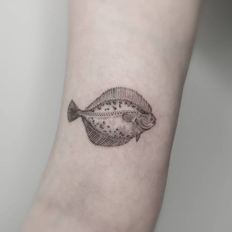 @prostolinijna shared a photo on Instagram: “people think fish are stupid, but I was always sure that they weren’t. they know when to be quiet, and it's people that are stupid. fish…” • Apr 20, 2021 at 6:15pm UTC Halibut Tattoo, Piercing Tattoo, Fish Tattoos, Small Tattoos, Tatting, Piercings, Fish, Tattoos, Instagram