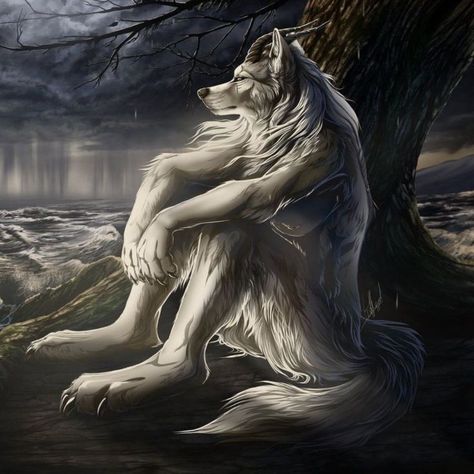 🐺🐺🐺🐺❄️❄️☁️ Deviantart, Google Search, Art