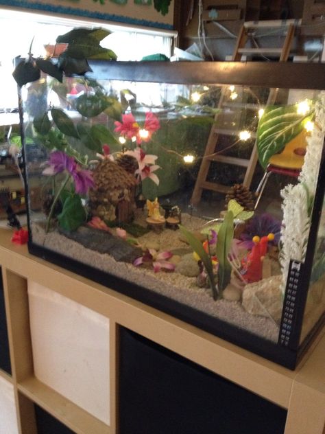 Repurposed fish tank made into a fairy garden Old Fish Tank Ideas, Fish Tank Fairy Garden, Repurposed Fish Tank, Fish Tank Garden, Indoor Fairy Garden, Aquarium Tanks, Tank Terrarium, Indoor Fairy Gardens, Cactus Terrarium