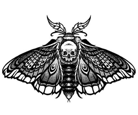 Moth Tattoo Design Traditional, Skull Dotwork, Tattoo Design Traditional, Moth Tattoo Meaning, Dotwork Tattoo Mandala, Moth Drawing, Moth Tattoo Design, Traditional Women, Insect Tattoo