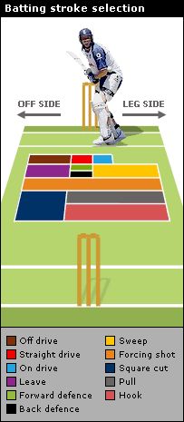 Cricket Batting Stroke Selection Cricket Batting Drills, Cricket Fielding Positions, How To Play Cricket, Cricket Shots, Cricket Tips Bowling, Cricket Bowling Tips, Cricket Quotes, Cricket Coaching, Ms Dhoni Wallpapers