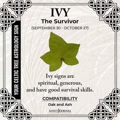 Margaret Jamison on Instagram: "Yours not here? Look for the other post. Thank you @the_mind_journal" Celtic Vines Design, Celtic Ivy Tattoo, Irish Witchcraft, Celtic Tree Zodiac, Fun Symbols, Tree Zodiac, Celtic Tattoo For Women, Celtic Tree Astrology, Ireland Facts