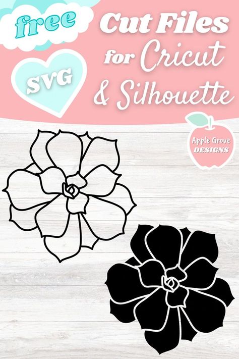 Cricut Succulent Svg Free, Free Succulent Svg Files For Cricut, Boho Svg Free, Succulent Svg Free, Free Floral Svg, Boho Printables, Succulent Svg, Cricut Flowers, Bulletin Ideas