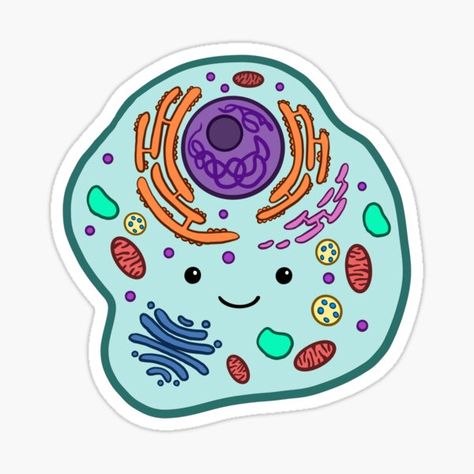 This is a cute lil animal cell that I designed, inspired by diagrams of animal cells and their organelles :) • Millions of unique designs by independent artists. Find your thing. Animal Cell Diagram, Animal Cell Drawing, Cell Drawing, Biology Cell, Cell Design, Animal Cells, Prokaryotic Cell, Senior Year Fun, Cell Organelles