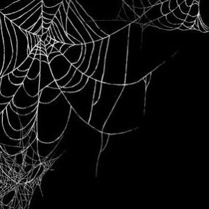 Spiderweb Overlay, Spider Web Overlay, Spider Tattoos, Lighting Overlays, Free Overlays, Spider Tattoo, Spider Webs, Web Icons, Goth Aesthetic