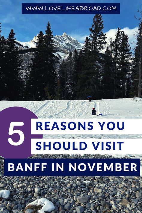 Are you wondering if visiting Banff in November is a good idea? ❤️ We love visiting Banff in the shoulder season (we usually leave the area in July and August… it’s too crowded for us) and November is a time we love. We can experience almost all season in a single getaway. And we get most places (most) all to ourselves. Check out our 5 reasons to visit in November + fun things to do in Banff in November Banff In November, Banff November, Lake Louise Ski Resort, Things To Do In Banff, Craft Beer Festival, Canadian Road Trip, Sunshine Village, Banff National Park Canada, Fairmont Banff Springs