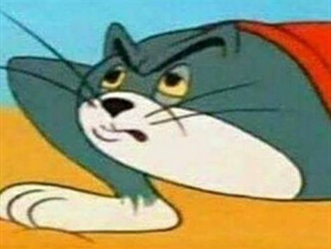 Tom And Jerry Memes, Jerry Cartoon, Tom And Jerry Cartoon, Tom Y Jerry, Tom Y, Tom Jerry, Cartoon Memes, Reaction Images, Tom And Jerry