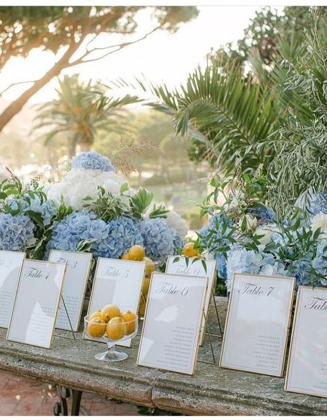 Wedding Reception Seating Chart Ideas, Find Your Seat Wedding Ideas, Table Assignments Wedding, Wedding Sitting Plan, Kiawah Wedding, Seville Wedding, Sitting Plan, Sterling Castle, Wedding Seating Chart Display