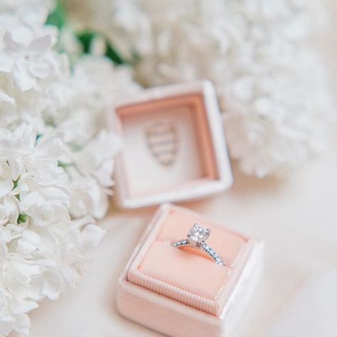 Chiffon Photoshoot, Ring Box Photography, Stock Flowers, Wedding Ring Photography, Case Photography, Box Photography, Wedding Themes Spring, Ring Photography, Vintage Ring Box