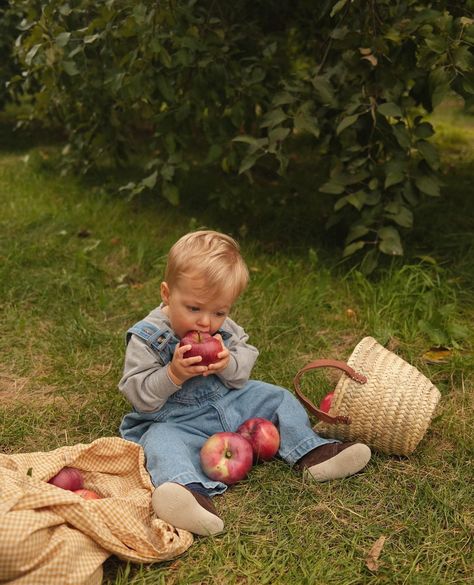 oohhhh yes 🌳👋🏼🧺 —— apple picking season has started 🙂. RESTOCK of the most extraordinary overalls in the world 🙃… and they are selling like hot cake, so we already have ANOTHER shipment on the way . 👀 surprise : —— adult version finally available !! ( I personally wear it every week for 6 months) Exclusivity in Quebec 🏠. 6 Month Apple Pictures, Family Apple Picking Photos, Toddler Fall Picture Ideas, Apple Orchard Baby Photoshoot, Apple Picking Photoshoot Baby, Baby At Pumpkin Patch, Apple Picking Picture Ideas, Baby Apple Orchard Pictures, Apple Orchard Baby Pictures