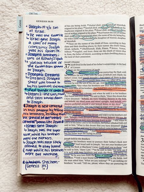 Bible Notes Ideas Notebooks Genesis, Genesis Annotations, Bible Notes On Genesis, Bible Notes For Genesis, Genesis 37 Bible Journaling, Bible Study Notes Journal Genesis, Bible Annotations Genesis, Genesis 7 Bible Journaling, Bible Notes Genesis