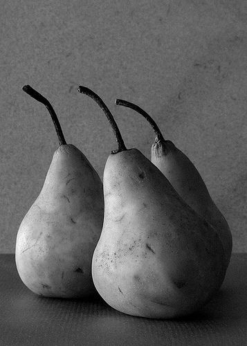 Bosc Pears by espion  #stilllife #photography #fruit #pears Pear Art, Life Drawing Reference, Fruits Photos, Object Photography, Still Life Fruit, Study Photography, Fruit Photography, Still Life Photos, Still Photography