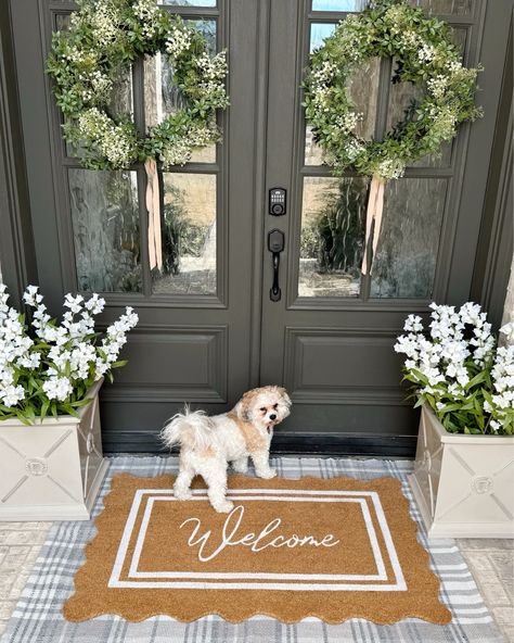 Shop My Texas House Welcome Natural … and other curated products on LTK, the easiest way to shop everything from your favorite creators. Cute Door Mats, Front Door Mat Indoor, Clean Patio, My Texas House, Porch Styles, Welcome Design, Outdoor Entryway, English Country Cottage, Double Front Doors