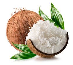 coconuts with coconuts flakes isolated on the white background Chia Seeds Benefits, Coconut Benefits, Dry Coconut, Coconut Chips, Powder Recipe, Coconut Yogurt, Grated Coconut, Shredded Coconut, Healthy Baking