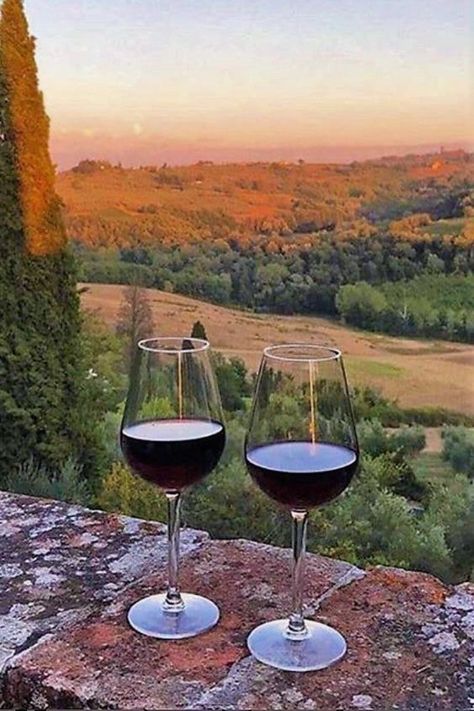 ✨🍷 Going To Italy, 30 Gifts, Wine Country, Wine, Italy, Tumblr, Gifts