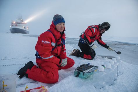 A year long expedition spotlights night life in the Arctic winter | Science News Winter Science, Polar Night, Arctic Sea, Gray Whale, Sea Ice, Arctic Ocean, Food Web, Marine Biologist, Marine Environment