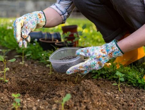 What Is Soil Conditioner & Should You Use It? - Backyard Boss Lawn Problems, Nitrogen Fixation, One Mistake, How To Make Compost, Soil Conditioner, Humic Acid, Compost Tea, Organic Soil, Plant Health