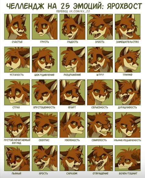 Warrior Cat Memes, Facial Expressions Drawing, Cat Expressions, Cat Drawing Tutorial, Warrior Cats Fan Art, Warrior Cat Drawings, Warrior Cat Oc, Galaxy Cat, Easy Animals