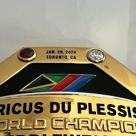 Dricus du Plessis on Instagram: "It finally arrived! I made the promise that I’d get the 🇿🇦 on that UFC title and I’m a man of my word, so incredibly proud. #historymade #promiseskept  #stillknocks" Dricus Du Plessis, Du Plessis, The Promise, Ufc, A Man, History, On Instagram, Quick Saves, Instagram