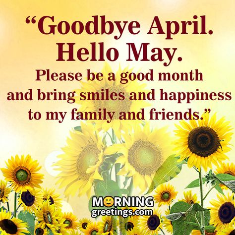 Welcome To May Month, Welcome May Month Blessings, New Month May Blessings, Hello May Month Quotes, Welcome May Month, Hello May Quotes, English Pictures, May Month, New Month Wishes