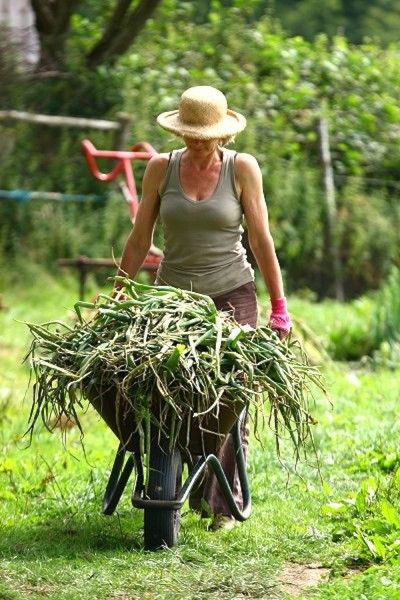 Could horsepower be the future of farming? - Indie Farmer Yard Work Aesthetic, Farmer Photo, Women Farmers, Dutch Farms, Community Supported Agriculture, Female Farmer, Devon Uk, Beautiful Cottages, Yard Work