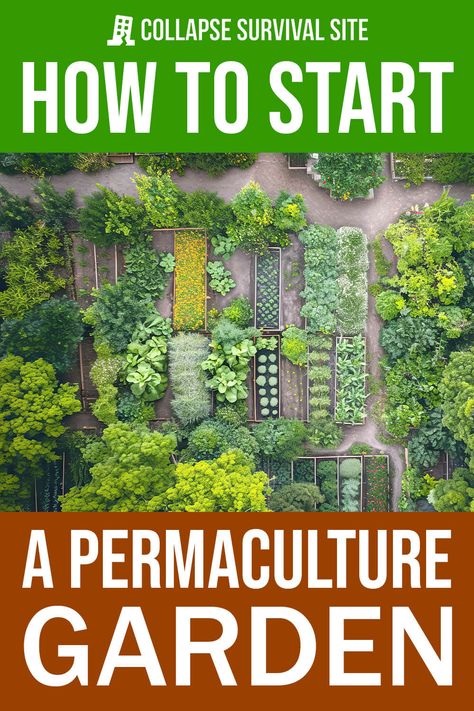 How to Start a Permaculture Garden Permaculture Garden, Permaculture Principles, Farm Plans, Succession Planting, Herb Garden Design, Vegetable Garden Diy, Homestead Gardens, Permaculture Gardening, Survival Gardening