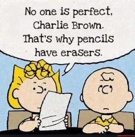 Charlie Brown Cartoon, Peanuts Quotes, Brown Cartoon, Charlie Brown Quotes, Sally Brown, Snoopy Funny, Peanuts Cartoon, Snoopy Quotes, No One Is Perfect