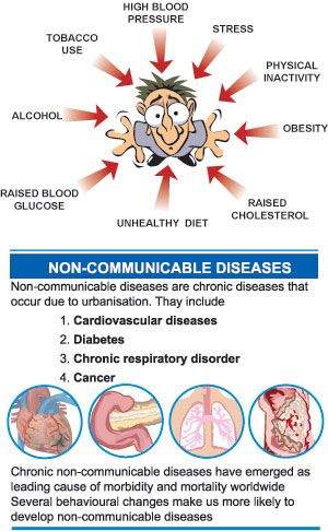 Non Communicable Diseases Poster, Non Communicable Diseases, Communicable Diseases, Non Communicable Disease, Science Board, Biology Resources, Physical Inactivity, Types Of Diseases, Unhealthy Diet