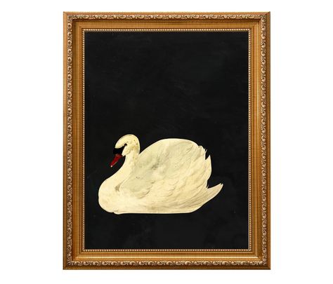 Aert Schouman knobbelzwaan mute Swan on Antique, Weathered Black Background Unframed Fine Art Print - Etsy Swan Art, Antique Art Prints, Retro Art Prints, Swans Art, Mute Swan, Vintage Framed Art, Classic Art Prints, Art Ancien, Prints Vintage