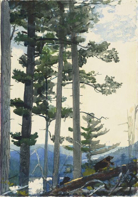 You searched for Winslow homer - Artvee Winslow Homer Paintings, Winslow Homer, Rural Scenes, Giclee Painting, Paper Sheet, American Life, Landscape Trees, Landscape Walls, Great Big Canvas