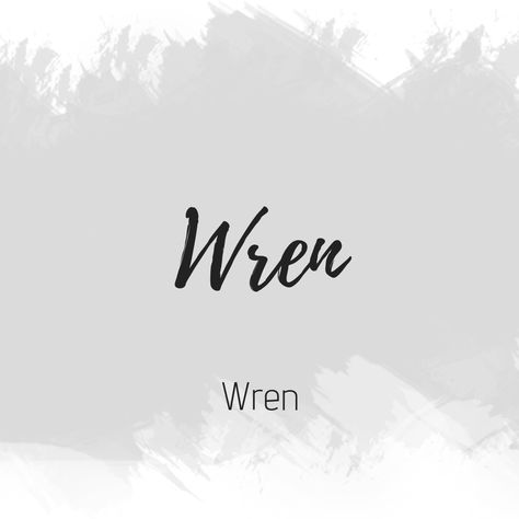 Wren Name Meaning, Wren Name, Sp Characters, Wonderland Aesthetic, Alice In Wonderland Aesthetic, Dictionary Words, Dog Ideas, Future Children