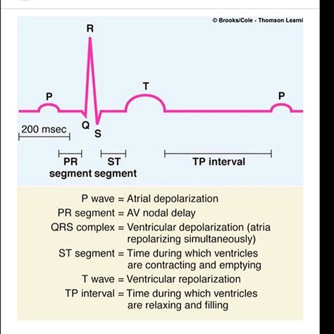 @medicalphy this account have a great information about ECG and how to read it @medicalphy