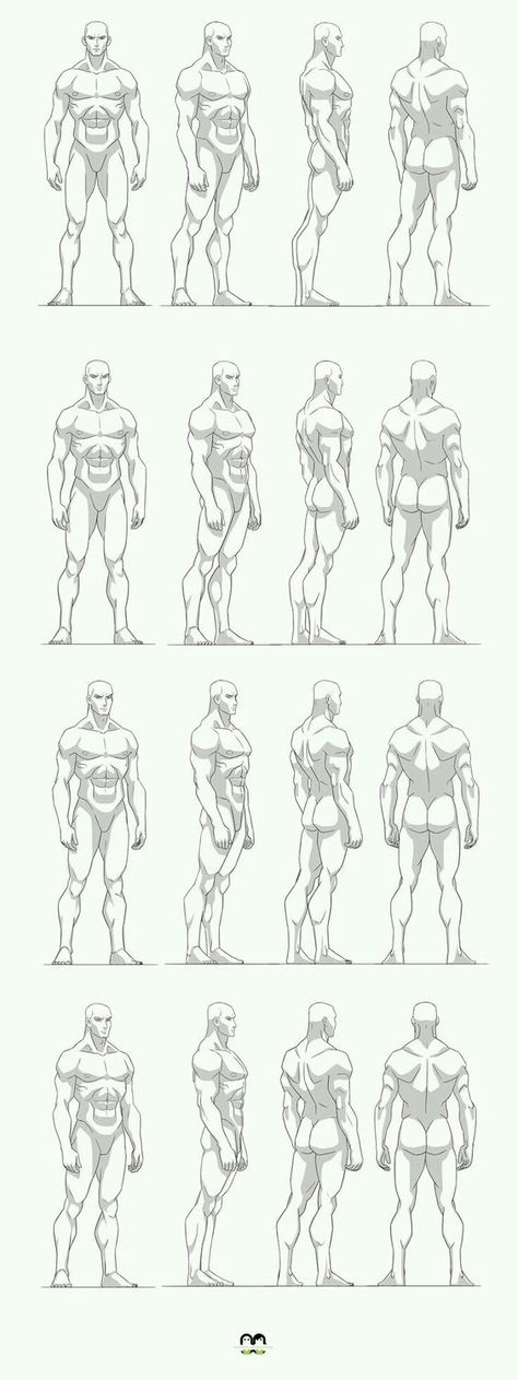 Male Anatomy Turnaround, Male Anatomy Reference Turnaround, Male Character Design Turnaround, Male Body Turnaround Reference, Men Proportions Drawing, Character Turnaround Male Pose Reference, Muscular Figure Drawing, Male Body Character Design, Man Character Turnaround