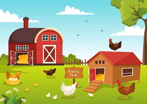 Poultry farming with chicken and egg far... | Premium Vector #Freepik #vector #poultry-farm #chicken-farm #poultry #chicken-coop Farm Cartoon Background, Farm Drawing Ideas, Farm Illustration Design, Poultry Drawing, Farm Template, Farm Drawing, Poultry Farm Design, Farm Illustration, Egg Farm