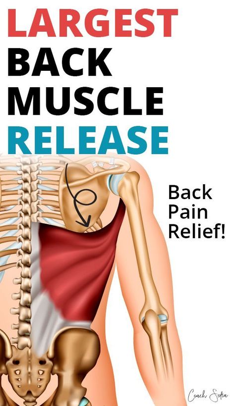 Back Spasm Relief, Lower Back Pain Causes, Back Spasm, Mid Back Pain, Back Muscle, Middle Back Pain, Latissimus Dorsi, Back Pain Remedies, Lower Back Pain Relief