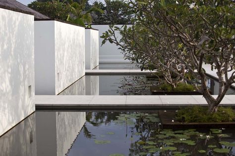 Bedmar And Shi, Bali Villas, Tropical Architecture, Zhuhai, Reflecting Pool, Vernacular Architecture, Architectural Practice, Art Space, Land Art