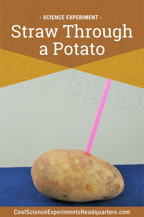 Potato Experiment, Potato Science Experiment, Air Pressure Experiments, Steam Experiments, Science Experiments Videos, Potato Print, Science Experiments For Preschoolers, Raw Potato, Stem Crafts